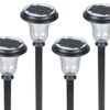 Solar Garden Light